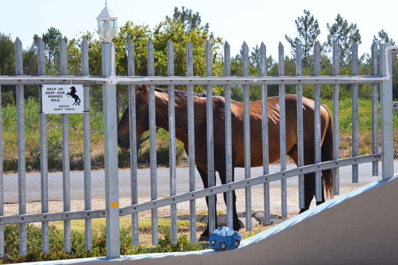 Fisherhaven Travellers Lodge Hermanus Exterior foto